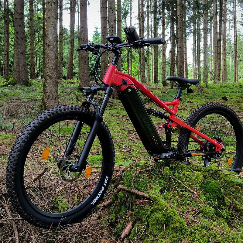 PULUMA PH001 Electric Bicycle 1000W Power Ebike 48V 20AH Battery 27.5*2.8 Inch Tire Off-road Electric Mountain Bike