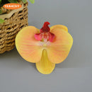 16Color Artificial Latex Phalaenopsis Butterfly Orchid Flowers Head DIY Wedding Christmas Decorative Shooting Props Accessories