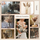 30Pcs Natural Fluffy Pampas Grass Dried Rabbit Tail Bouquet Wedding Party Decoration Pompas Artificial Flower Christmas Supplies