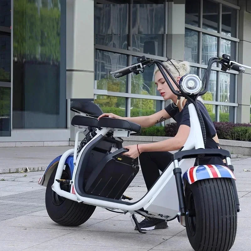 Electric vehicle lithium battery waterproof 18650 battery 60V 20ah 60ah double wheel folding Citycoco electric scooter