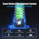 52V 30Ah Battery 50A EBike BMS Electric Bicycle Lithium  Battery with 4A Charger for Samsung Cells Bafang 2500W Motor