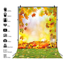 Autumn Landscape Backdrop Fall Forest Maple Fallen Leaves Nature Scenery Harvest Thanksgiving Portrait Photography Background