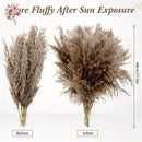 30Pcs Natural Fluffy Pampas Grass Dried Rabbit Tail Bouquet Wedding Party Decoration Pompas Artificial Flower Christmas Supplies