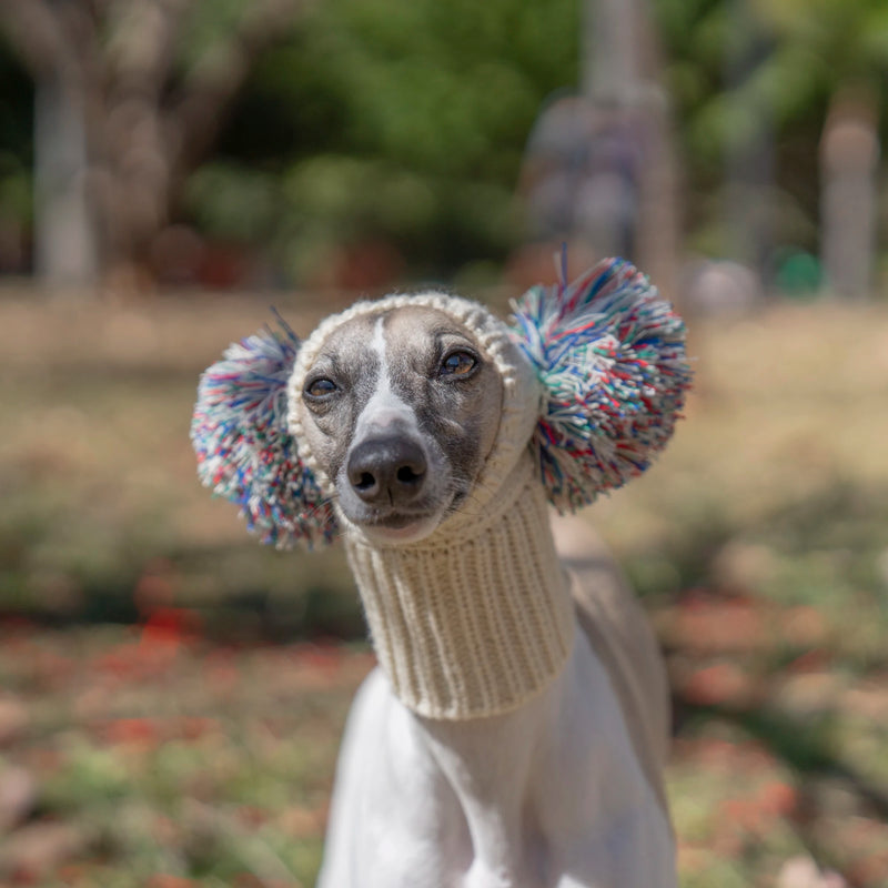 Italian Greyhound Whippet hat with fur ball pet hat in winter elastic wool puppy big dog hat