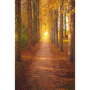 Autumn Landscape Backdrop Fall Forest Maple Fallen Leaves Nature Scenery Harvest Thanksgiving Portrait Photography Background