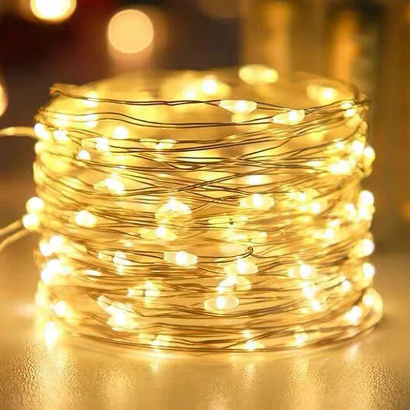 100/2M USB/Battery LED String Lights Waterproof Copper Wire Garland Fairy Lighting Strings Christmas Wedding Party Decor Lamps