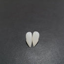 1pair Bloodcurdling Vampire Werewolves Fangs Fake Dentures Teeth Costume Halloween Fad