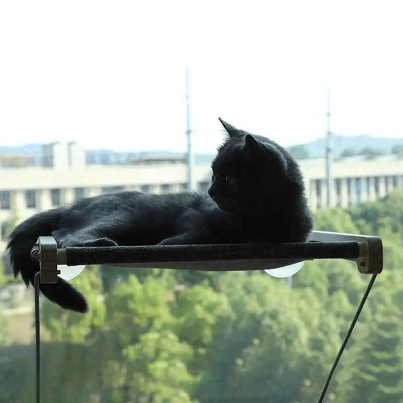 Durable Cat Bed Foldable Cat Hammock with Strong Load Capacity Detachable Suction Cup Cat Nest A Window View Cat for Balcony