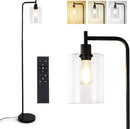 Floor Lamp Living Room, Modern Industrial Floor Lamp Bedroom Dimmable With Clear Glass Shade 800LM Remote Control & Foot Control