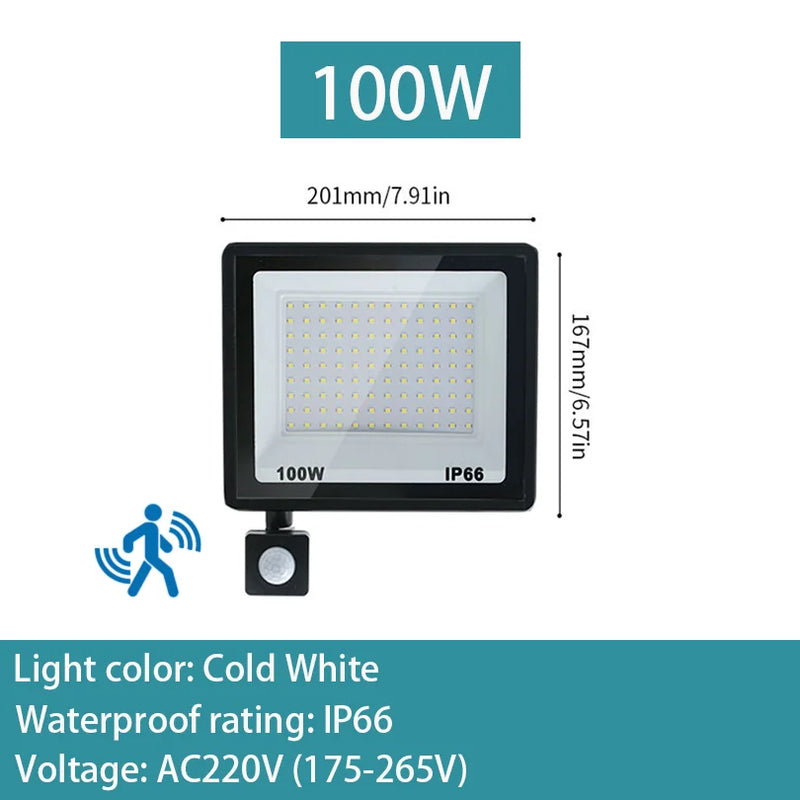 PIR Motion Sensor LED Flood Light 10W 20W 30W 50W 100W 150W 200W 300W AC220V IP66 Waterproof Spotlight Street Floodlight Outdoor
