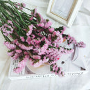 44534648144095|44534648176863