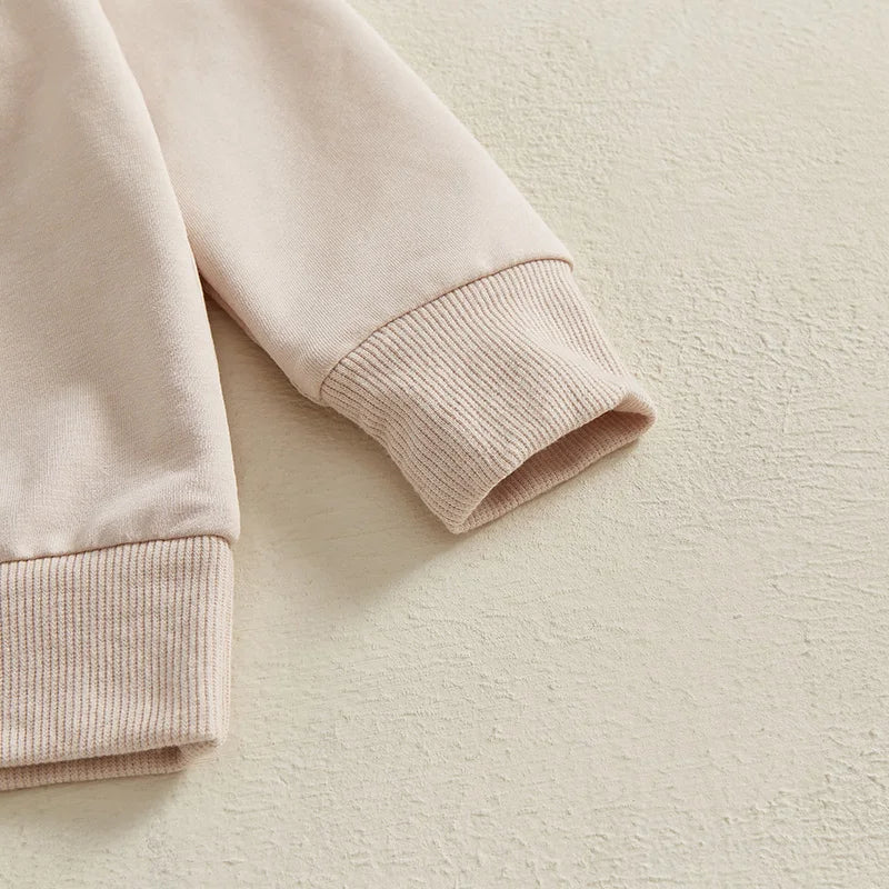 Baby Boy Easter Clothes Long Sleeve Round Neck Sweatshirt with Bunny Pattern Long Pants 2 Piece Set for Toddler Boys