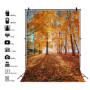 Autumn Landscape Backdrop Fall Forest Maple Fallen Leaves Nature Scenery Harvest Thanksgiving Portrait Photography Background