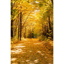 Autumn Landscape Backdrop Fall Forest Maple Fallen Leaves Nature Scenery Harvest Thanksgiving Portrait Photography Background