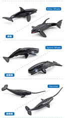 20Pcs Mini Marine Animals Diver Figures Set PVC Killer Sperm Blue Whale Dolphin Figurines Model Educational Toy For Kids