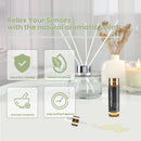 MAYJAM Fragrance Oils with Dropper Bamboo Bay Rum Forest Pine Fresh Cut Grass Rain New Aroma Oils For Humidifier Diffuser