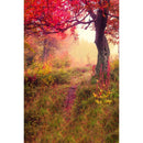 Autumn Landscape Backdrop Fall Forest Maple Fallen Leaves Nature Scenery Harvest Thanksgiving Portrait Photography Background