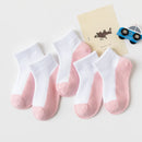 45161906045151|45161906143455|45161906208991|45161906274527