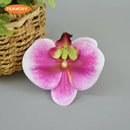 16Color Artificial Latex Phalaenopsis Butterfly Orchid Flowers Head DIY Wedding Christmas Decorative Shooting Props Accessories