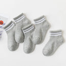 45161907749087|45161907847391|45161907912927|45161907978463