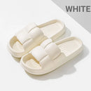 44499640352991|44499640385759|44499640418527|44499640451295|44499640484063