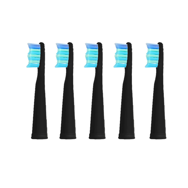 fit for Seago Electric Replacement Brush Heads Sonic Toothbrush Hygiene Care 899  for SG910 SG507 SG958 SG515 SG949 SG575