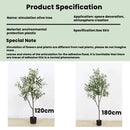 Realistic Artificial Olive Tree, Lifelike Faux Olive Plant for Home, Office, Garden Décor