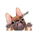 45340883550431|45340884467935|45340884500703|45340884533471|45340884566239