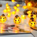 44569660129503|44569660162271|44569660195039