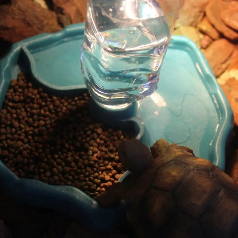 Reptile Feeder Drinker Pet Food Dish Auto Pet Water Dispenser for Tortoise Snake