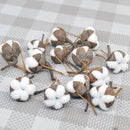 12 Artificial Kapok Natural Dried Flowers Simulation Cotton Wedding Room Easter Decoration Supplies DIY Wreath Bouquet Gift Box