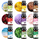 10ml Car Aromatherapy Supplement Liquid Plant Essential Oil Humidifier Aromatherapy Machine Specific Water Soluble Essential Oil