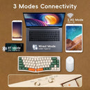 MAMBASNAKE x Ajazz AKS068 Pro 68 Keys Alice-Layout VIA Programmable Gasket Mechanical Keyboard