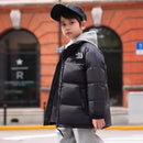 44443887632607|44443887665375|44443887698143|44443887730911|44443887763679