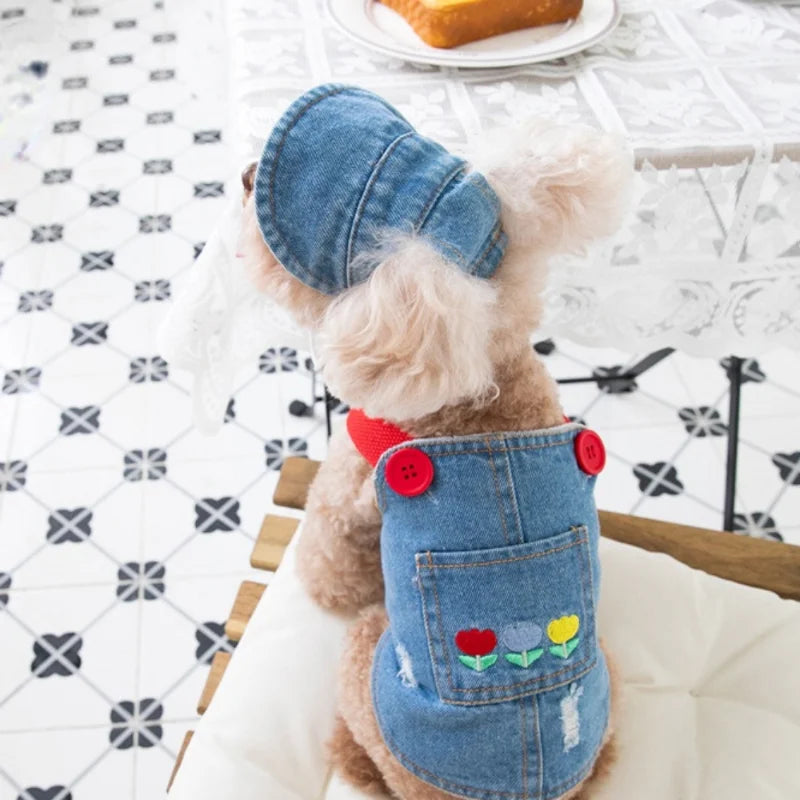 Fashion Embroidered Denim Dogs Skirt Plush Pet Clothes Cat and Dog Clothes Teddy Bear Coat Hat Dog Christmas Clothes Dog Dress