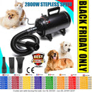 2800W Dog Blow Dryer Adjustable Speed Temperature Control with 3 Nozzles, Extendable Hose for Pet Hair Grooming, Vehicle Dryer