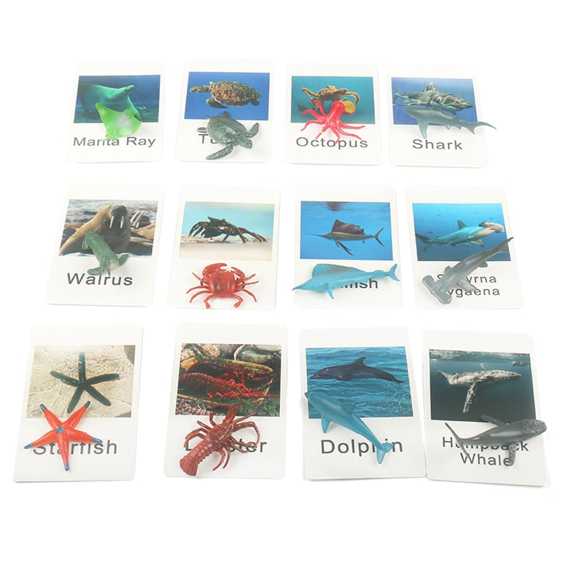 24Pcs/Set Montessori Toys for 3 Year Flash Cards Animals Matching Learning English Kids Early Educational Practical Life