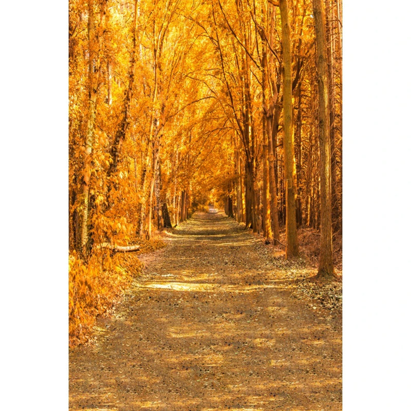 Autumn Landscape Backdrop Fall Forest Maple Fallen Leaves Nature Scenery Harvest Thanksgiving Portrait Photography Background