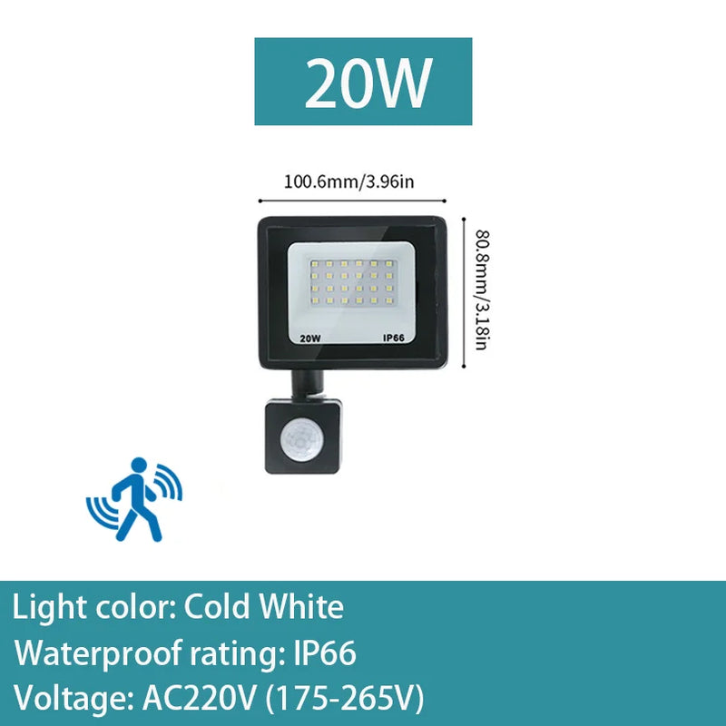 PIR Motion Sensor LED Flood Light 10W 20W 30W 50W 100W 150W 200W 300W AC220V IP66 Waterproof Spotlight Street Floodlight Outdoor
