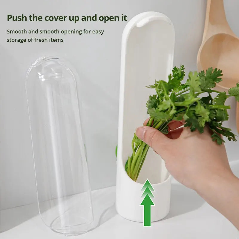 1 Pc Vegetable Preserving Bottle Herbal Preserving Herb Storage Bottle Home Kitchen Gadget Fresh For Storing Kitchen Supplies