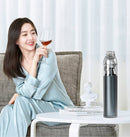 Handstaubsauger WS-V04