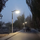 25-30 W LED-Solarlaterne mit flexiblem Solarpanel auf Stangendesign 2FSG036