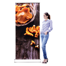 Soporte de pancarta retráctil