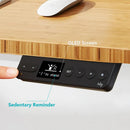 ELEKTRISCHER STEHSCHREIBTISCH RAY BAMBUS