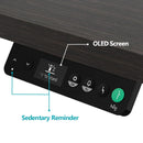 [ NEU ] ROBIN PRO ELEKTRISCHER STEHSCHREIBTISCH AUS EICHE SCHWARZ