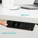 ELEKTRISCHER STEHSCHREIBTISCH AUS EICHE RAY