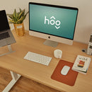 RAY CLASSIC LIGHT OAK STANDING DESK