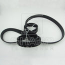 504022568 504049426  Iveco V-Ribbed Belts