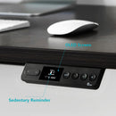 ELEKTRISCHER STEHSCHREIBTISCH AUS SCHWARZER EICHE RAY