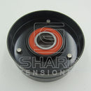 87801102 New Holland Tensioner Pulley,V-Ribbed Belt